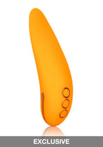 CalExotics California Dreaming Hollywood Hottie