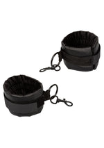 CalExotics Boundless Collar Body Restraint