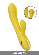 CalExotics California Dreaming San Diego Seduction