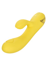 CalExotics California Dreaming San Diego Seduction