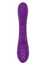 CalExotics California Dreaming Long Beach Bootylicious