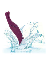 CalExotics Tempt And Tease Sass