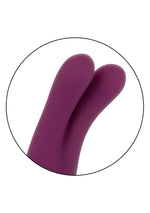 CalExotics Tempt And Tease Sass