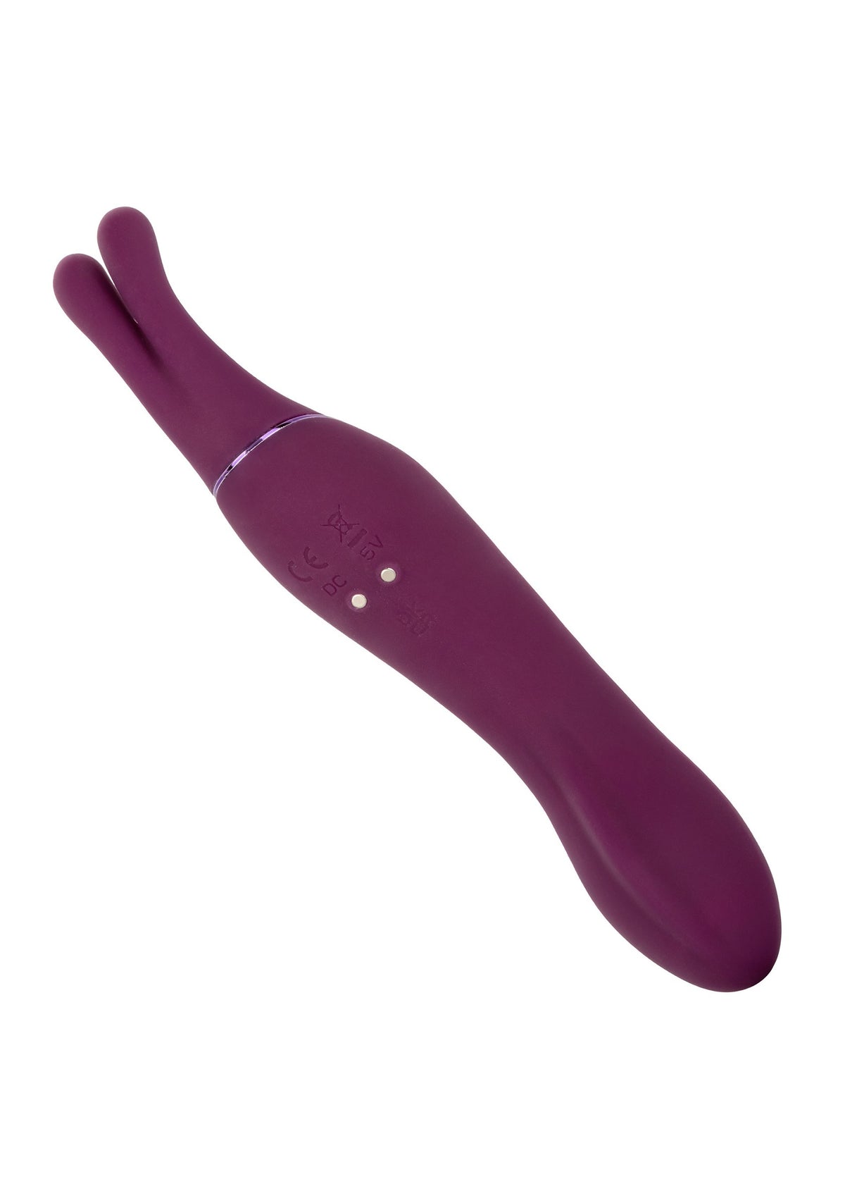 CalExotics Tempt And Tease Sass