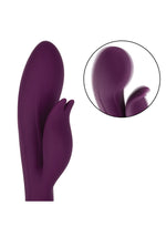 CalExotics Obsession Desire