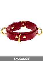 Taboom Bondage in Luxury D-Ring Collar Deluxe