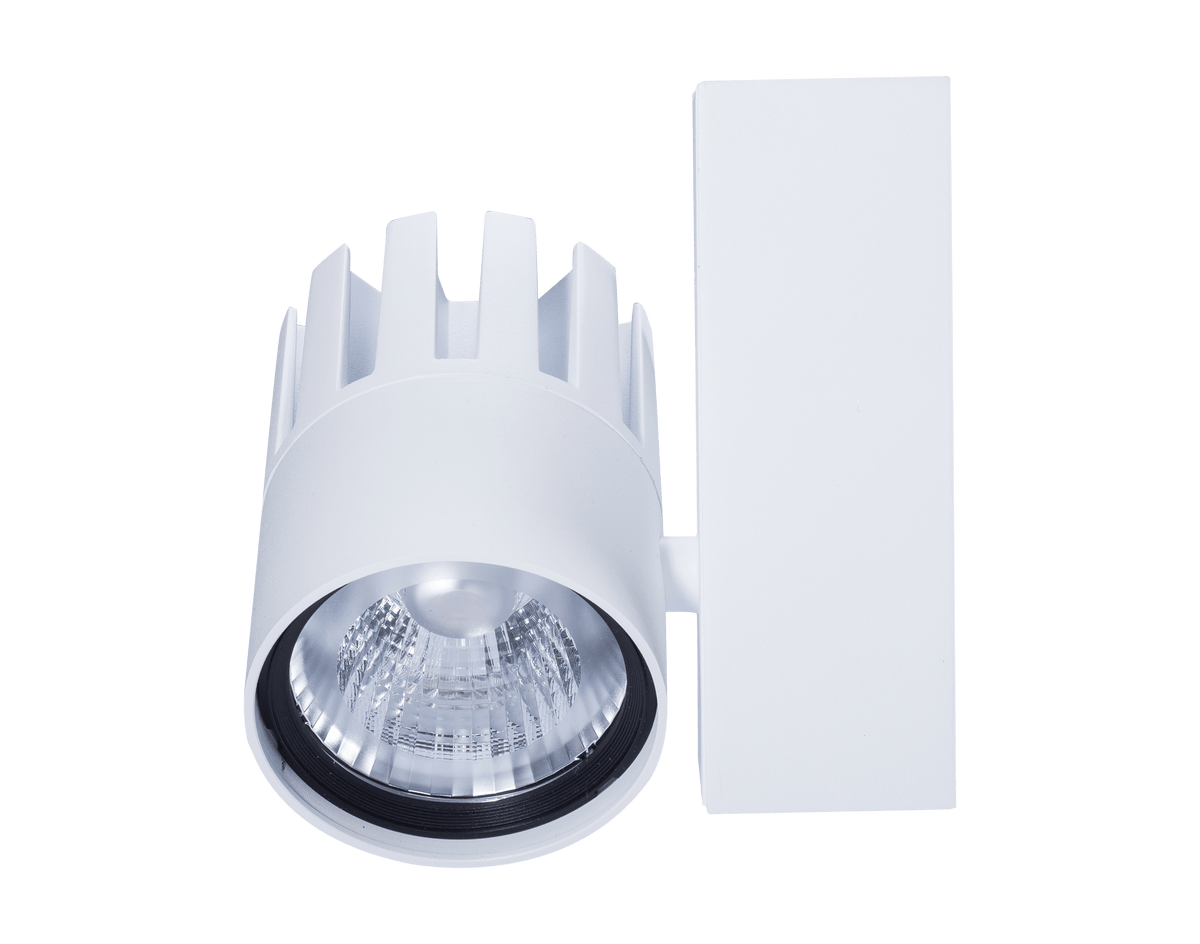 LEDSpot3C-P 30W-4000-40D-WH
