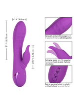 CalExotics California Dreaming Valley Vamp