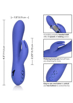 CalExotics California Dreaming Beverly Hills Bunny