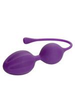 CalExotics Kegel Training 3-Piece Set