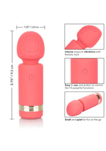 CalExotics Slay #ExciteMe