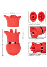 CalExotics French Kiss Suck & Play Interchangeable Set