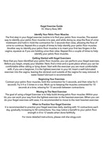 CalExotics She-ology Interchangeable Weighted Kegel Set