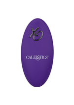 CalExotics Lock-N-Play Remote Suction Panty Teaser