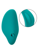 CalExotics Pixies Hummer