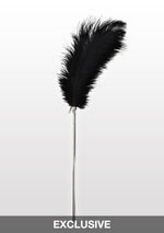 Taboom Bondage Essentials Feather Tickler