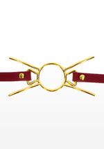 Taboom Bondage in Luxury Open Mouth Spider Gag