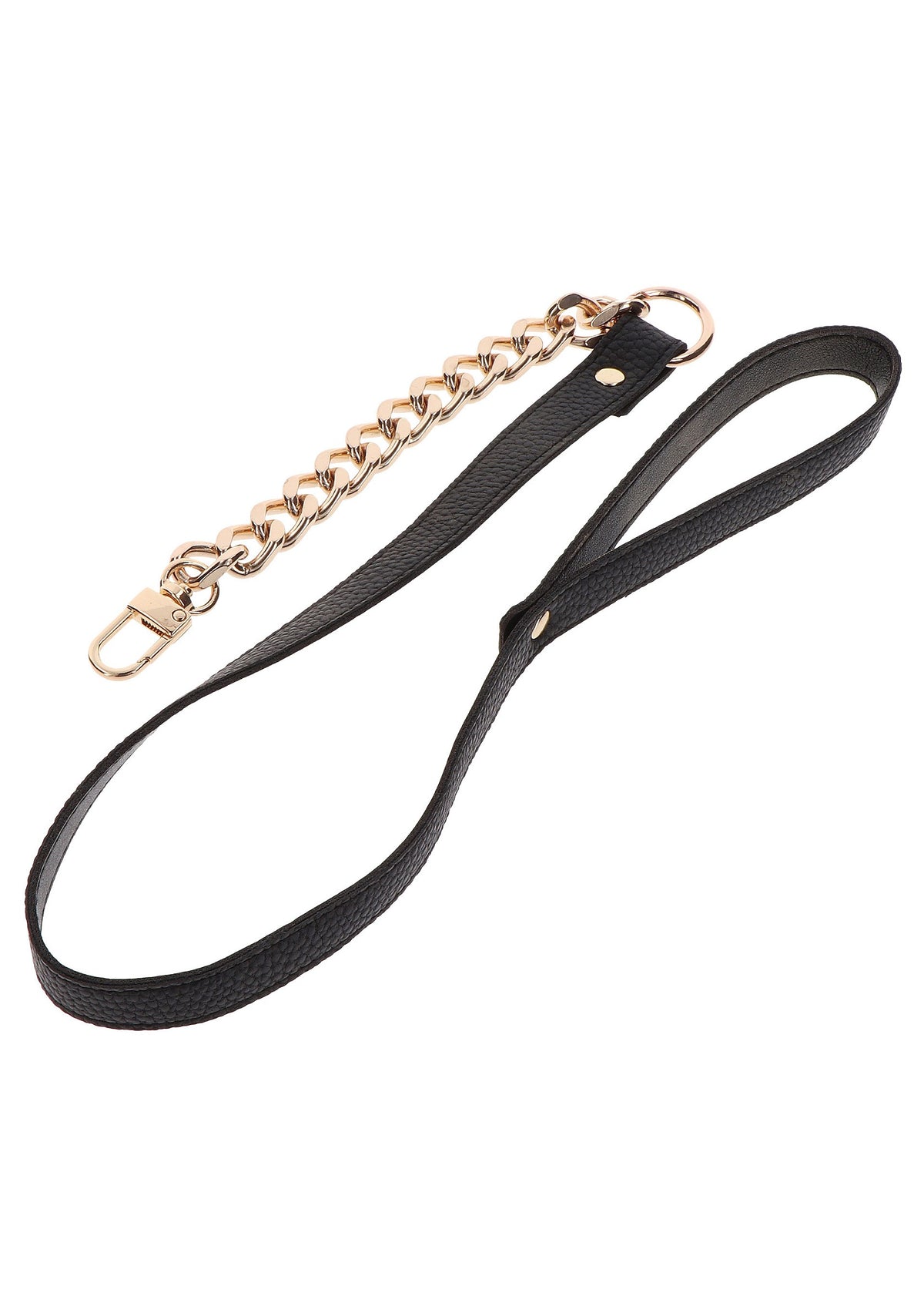 Taboom Dona Statement Collar and leash