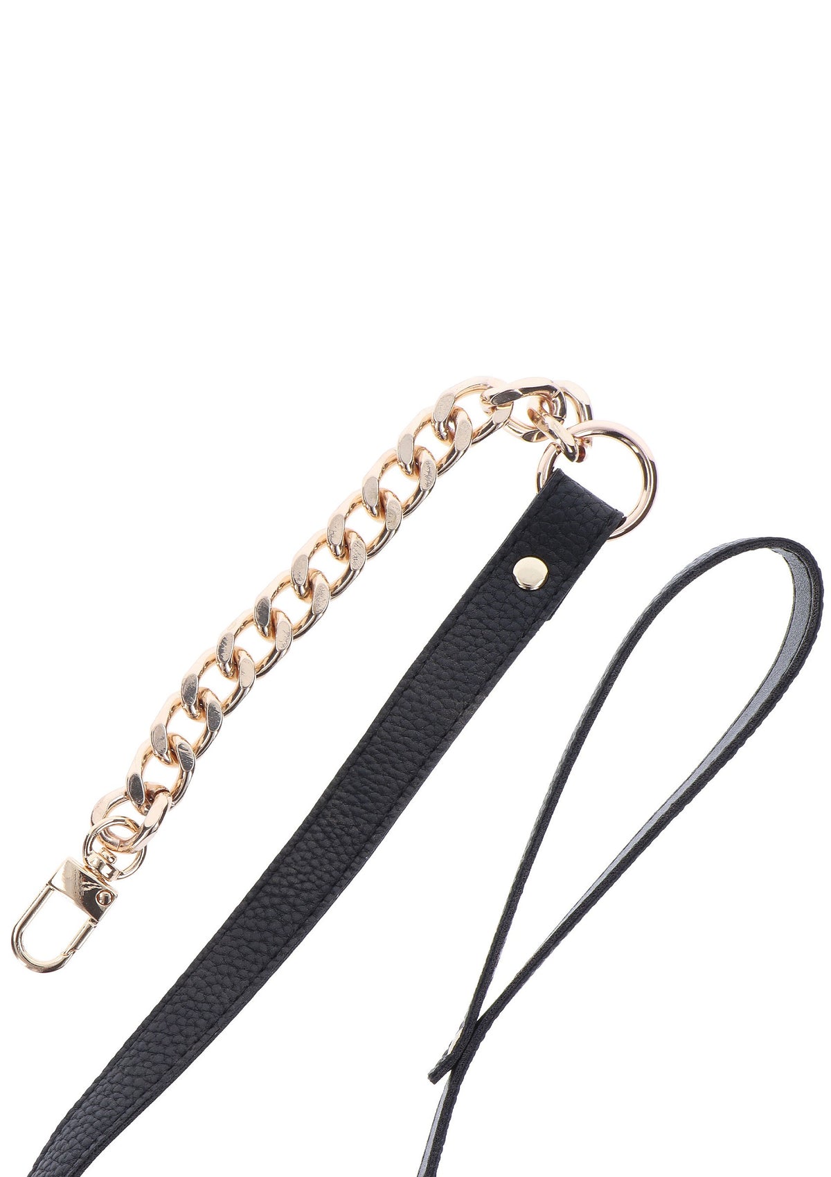 Taboom Dona Statement Collar and leash