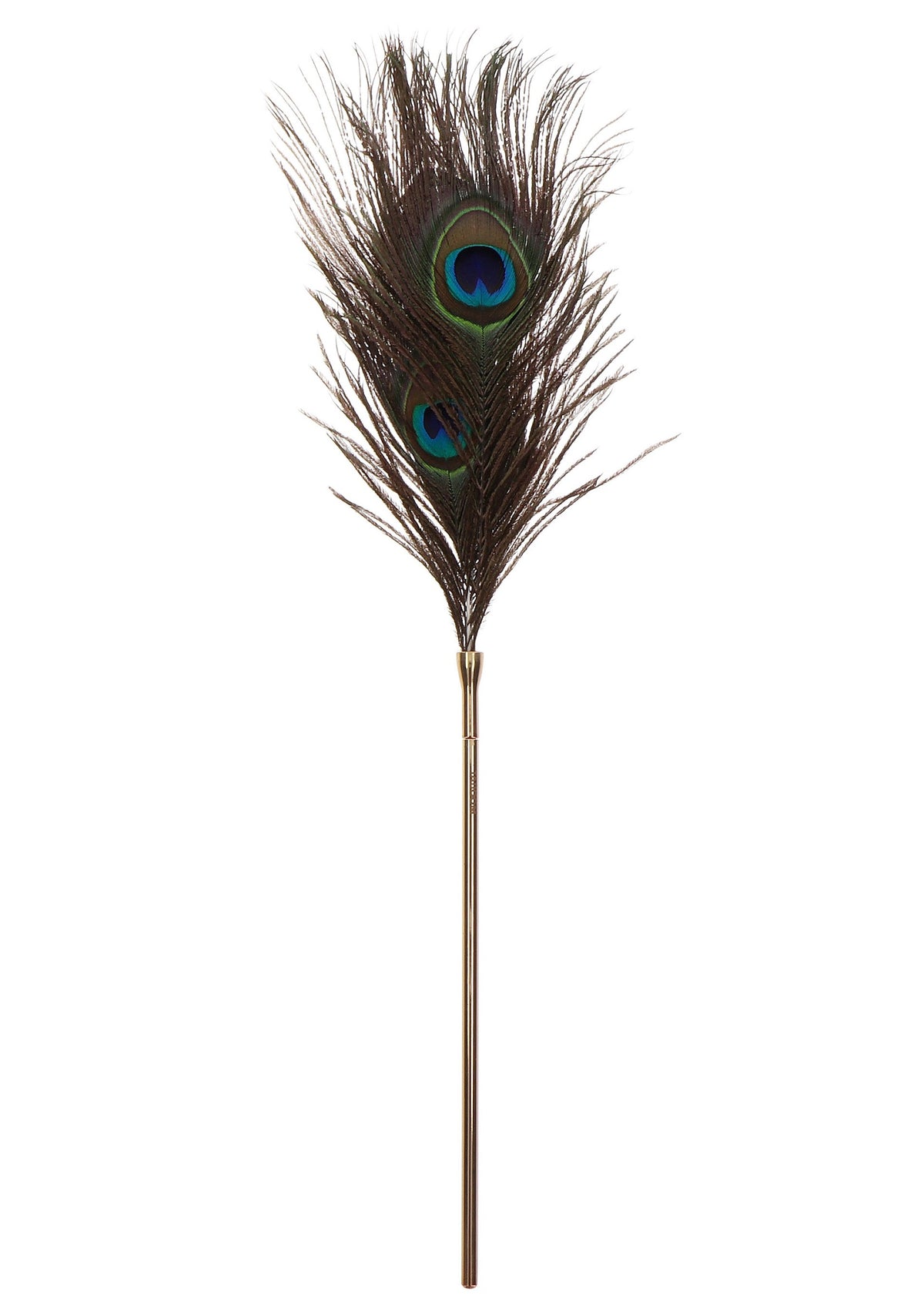 Taboom Dona Peacock Tickler