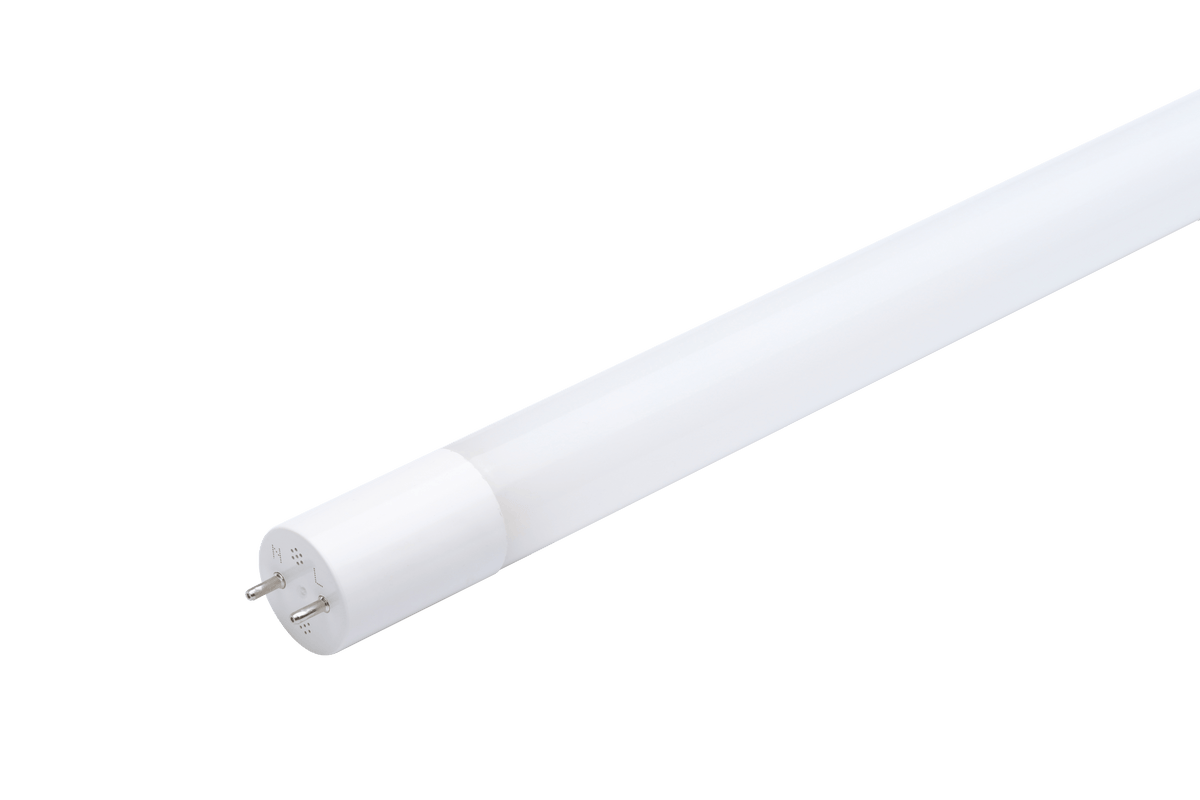 LED P T8 glass 600 8W 100pct 6500K CT