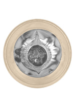 Pipedream PDX Extreme Rechargeable Roto-Bator Ass