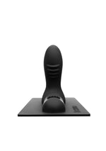 The Cowgirl Wild West