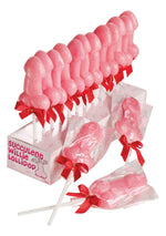 S&F Willie Lollipop Display 24 Pcs